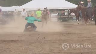 George 9yr breakawaytiedown gelding [upl. by Bevin61]