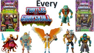 Every MOTU TMNT Crossover Comparison List  Turtles of Grayskull  Masters of the Universe [upl. by Nnewg741]