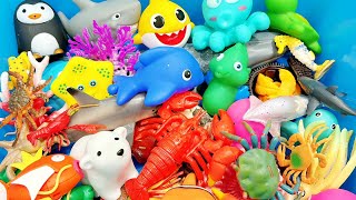 Learn Sea Animal Names I Vertebrate and Invertebrate I Sea Animal Facts I Animal For Kids I Part 1 [upl. by Marnie]