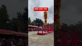 বাটা ভরা পান গো দুলাভাই কয়টা ভরা চুন বালিশের তলায় রয়েছে একটা ভিডিও পান ভরা [upl. by Dowell]