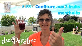 300  Confiture aux 3 fruits mentholés [upl. by Sokem]