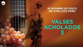 Cholo Berrocal  Payaso  Valses Acholados Vol 3  Music MGP [upl. by Mamie]