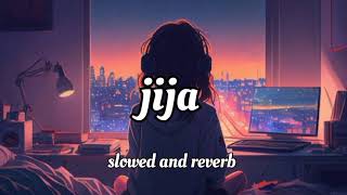 jija  slowed and reverb jija song  Vicky vik inder Kaur  Punjabi song nileshrajak [upl. by Kassandra]