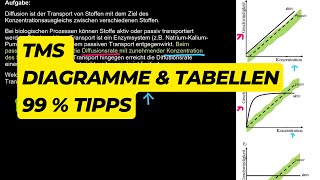 TMS  Vorbereitung Diagramme amp Tabellen – Tipps [upl. by Aneekas]