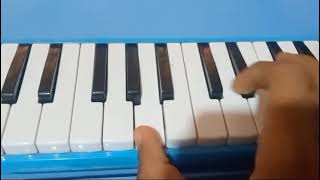 Des pas sito melodica playing [upl. by Annaerda]