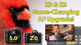 Nikon Z8 amp Z9 Game Changing AF Update  And How To Use It [upl. by Artemis573]