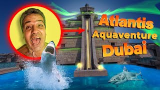 Aquaventure Water Park Dubai Leap of Faith Water Slide 30 m amp 60 kmh [upl. by Ailime979]