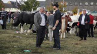 Ballinasloe Horse Fair  RTÉ Republic of Telly [upl. by Htir332]