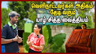 வெளிநாட்டவர்கள் அதிகம் தேடி வரும் யாழ் சித்த வைத்தியம்  siddhamedicine [upl. by Franni80]