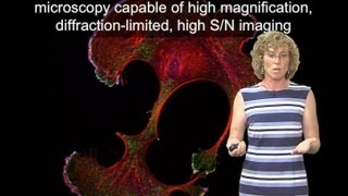 Microscopy Measuring Dynamics Fluorescent Speckle Microscopy Clare Waterman [upl. by Erreipnaej]