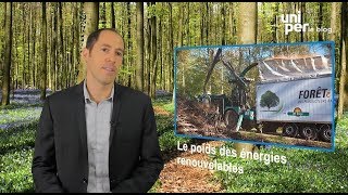 “La biomasse représente 40  des énergies renouvelables”  Uniper le Blog [upl. by Alarick]