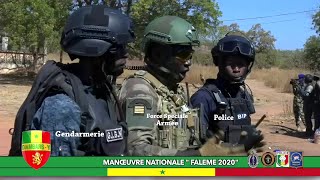 Sénégal  offensive militaire contre des séparatistes en Casamance [upl. by Aneahs]