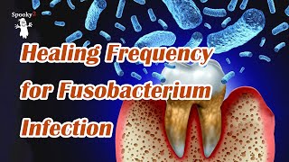 Healing Frequency for Fusobacterium Infection  Spooky2 Rife Frequency Healing [upl. by Gretna923]