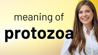 Protozoa — what is PROTOZOA definition [upl. by Naitsyrk258]