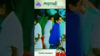 Adi Soku Sundari Video Song  Amaravathi Movie Songs  Ajith Kumar  Sanghavi  ytshorts [upl. by Scurlock]