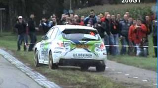 Hellendoorn Rally 2010 [upl. by Manny]