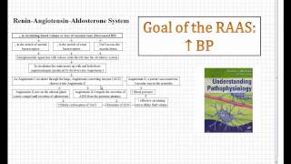 reninangiotensinaldosterone system RAAS [upl. by Iris]