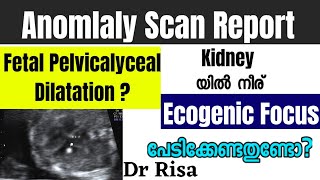 Abnormalities in Fetal Scan Report Malayalam  Fetal Pelvicalyceal Dilatation EIF [upl. by Akila]