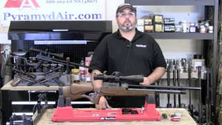 Evanix Speed Full Auto Airgun  Product Review [upl. by Anor]