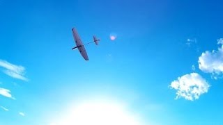 Amazing Dream Flight Libelle DLG carbon rc air plane [upl. by Ellehcim]