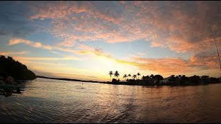 The MOST peaceful fishing spot I’ve EVER fished  Matlacha FL  DampD Bait and Tackle [upl. by Korman]