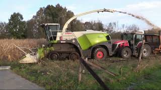 Maïs 2023  Claas Jaguar 960 Terra Trac  5x Massey Ferguson  4x Dezeure  muddy field  Verreth [upl. by Seidnac268]