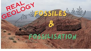 Fossiles et fossilisation [upl. by Eggett696]