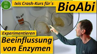 Enzyme 6 Experiment zur pHAbhängigkeitSchwermetallhemmung  Anwendungsaufgaben  Fit für´s BioAbi [upl. by Pentha551]