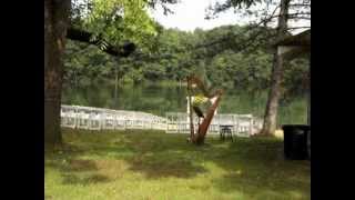 Outdoor Weddings Harpist Michigan [upl. by Hgielime635]