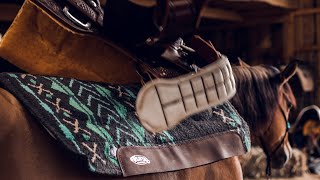 7 steps to check saddle fit [upl. by Josee]