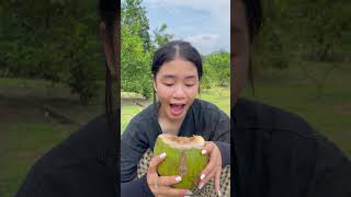 Kỹ năng sinh tồn bà mẹ đơn thân có kỹ năng hái dừa🥥 trong rừng survival outdoors skills [upl. by Anytsyrk26]