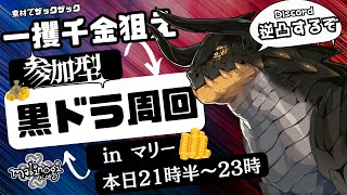 【マビノギ】黒ドラ周回だー！逆凸もするぞー！【参加型】 [upl. by Veneaux305]