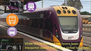 VLine VLocity VL44 and two Dysons buses at Shepparton station Featuring a parked rail grinder [upl. by Ellener]