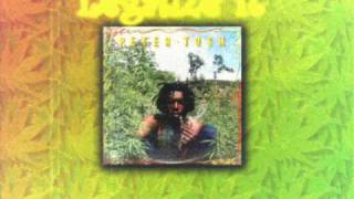 Peter Tosh  Burial  LEGALIZE IT  Lyrics [upl. by Anomis]