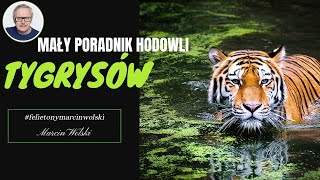 Mały poradnik hodowli tygrysów felietonymarcinwolski [upl. by Orodisi]