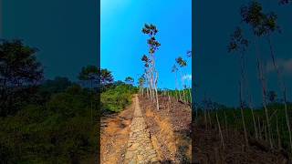 Jalan di Baduy baduy baduyluar sukubaduy [upl. by Analos]