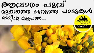 Homemade Aavaram Poo Facepack ആവാരം പൂവ് തേടി beauty facepack aavarampoo [upl. by Ha]