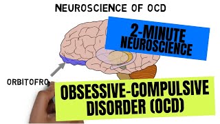 2Minute Neuroscience ObsessiveCompulsive Disorder OCD [upl. by Itsrik135]