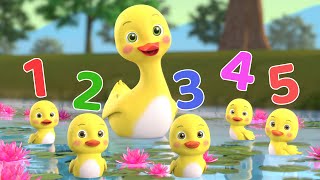 Number Song  Five Little Duckies  More Baby Songs  Beep Beep Nursery Rhymes [upl. by Tevlev]