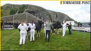 Kilnsey Show 2023 [upl. by Yrdua]