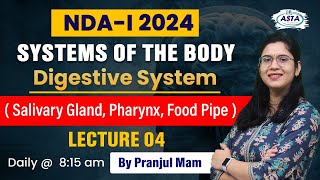 NDAI 2024  SYSTEMS OF THE BODY Digestive system salivary gland pharynx food pipe Lecture  4 [upl. by Aribold375]