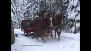 Thunder Bay Resort quotSweet Sleigh Ridequot by Byron Goggin [upl. by Phail280]