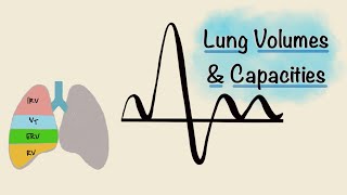 Lung Volumes and Capacities  Spirogram  Spirometry  Respiratory Physiology [upl. by Dryfoos56]