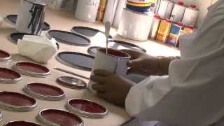 ILPA Chemicals in harmony with nature Corporate Video  English [upl. by Nnayecats]