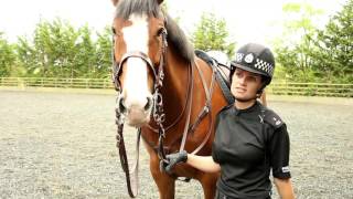 A Day in the Life  Police Scotland Mounted Unit [upl. by Edholm170]