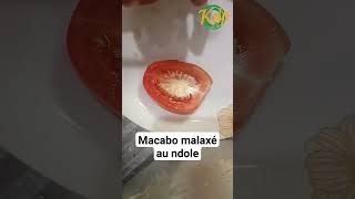 macabo malaxé au ndole [upl. by Limay]