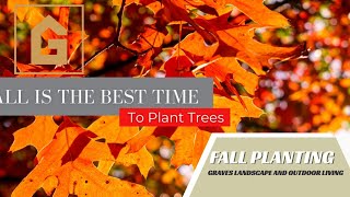 Is Fall The Best Time To Plant [upl. by Ariaes]