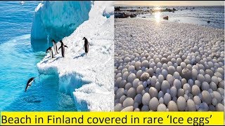 Beach in Finland covered in rare ‘Ice eggs’ [upl. by Rossen]