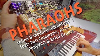 Solina amp Modular фараоны PHARAOHS Eurorack Adventures feat polycinematic ponyvco bloom pamspro [upl. by Neehsas]