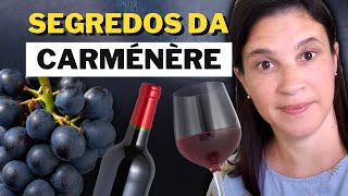 Carménère todos os segredos dessa uva e dos seus vinhos [upl. by Nisa780]